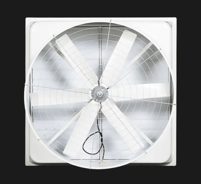 What Factors Influence the Performance of Glass Fiber Reinforced Plastic Negative Pressure Fans?